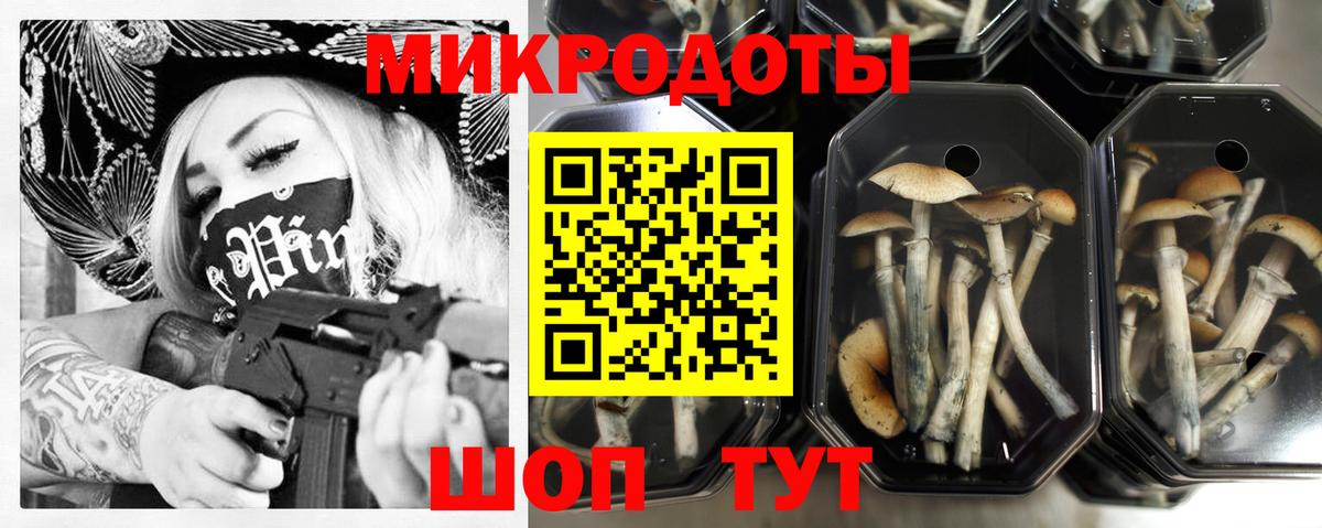 Псилоцибиновые грибы Magic Shrooms Красногорск